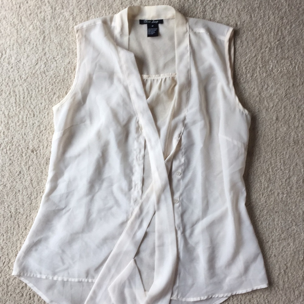 Sheer Button Up Blouse